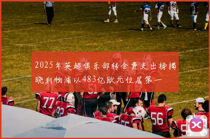 2025年英超俱乐部转会费支出榜揭晓利物浦以483亿欧元位居第一