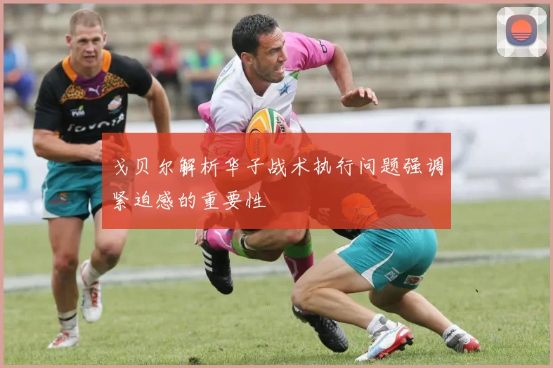 戈贝尔解析华子战术执行问题强调紧迫感的重要性