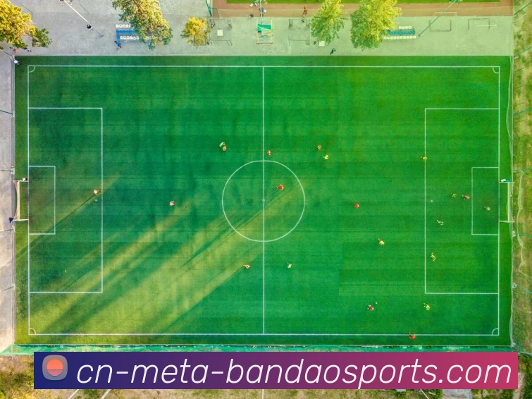 半岛体育平台生态图