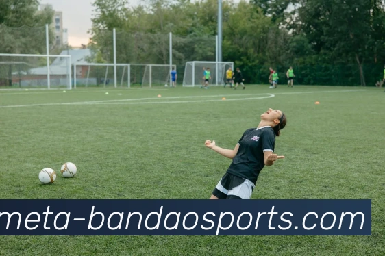 半岛体育全站App